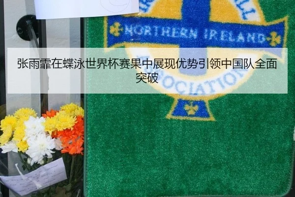 张雨霏在蝶泳世界杯赛果中展现优势引领中国队全面突破